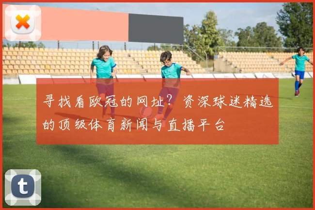 寻找看欧冠的网址？资深球迷精选的顶级体育新闻与直播平台