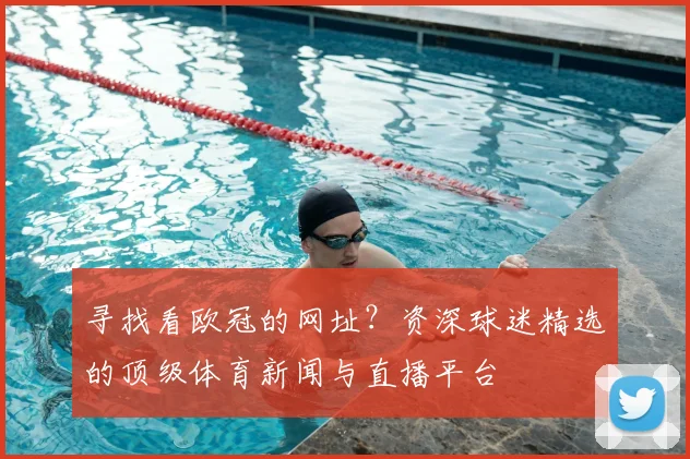 寻找看欧冠的网址？资深球迷精选的顶级体育新闻与直播平台