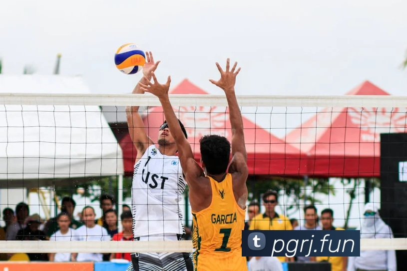 国际pg平台入口发展历程